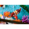 LEGO Icons Tropical Aquarium (10366)
