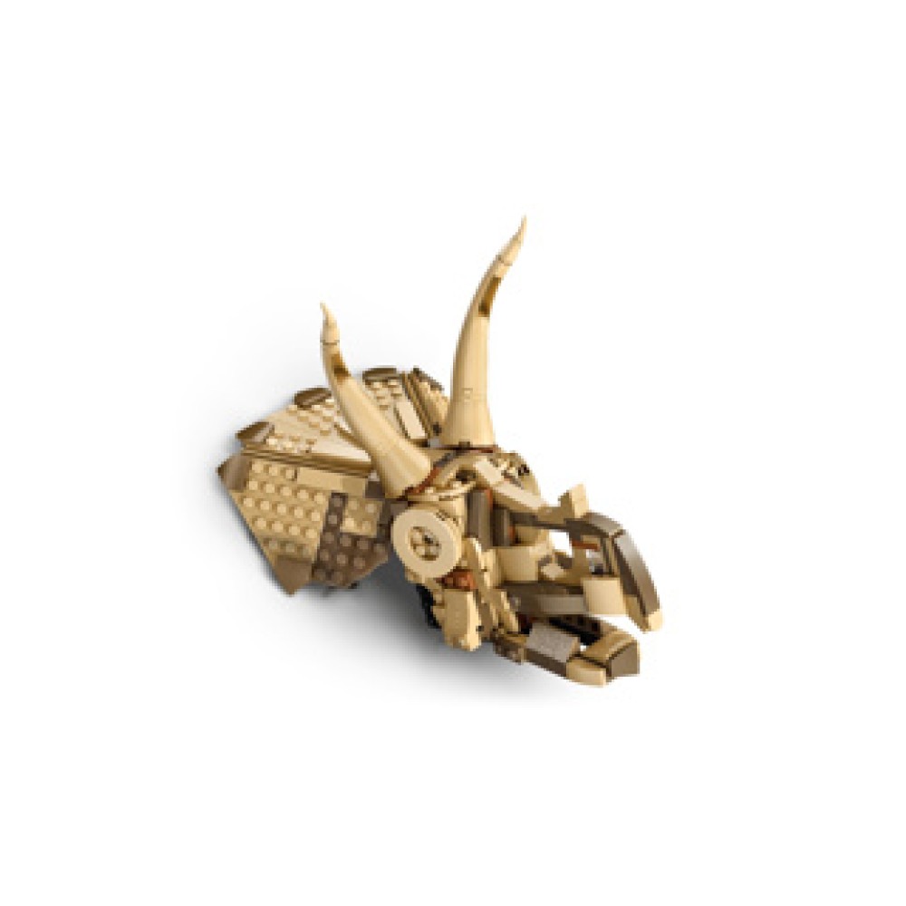 LEGO 76969 Jurassic World Dinosaurusfossielen: Triceratops schedel - Afbeelding 3