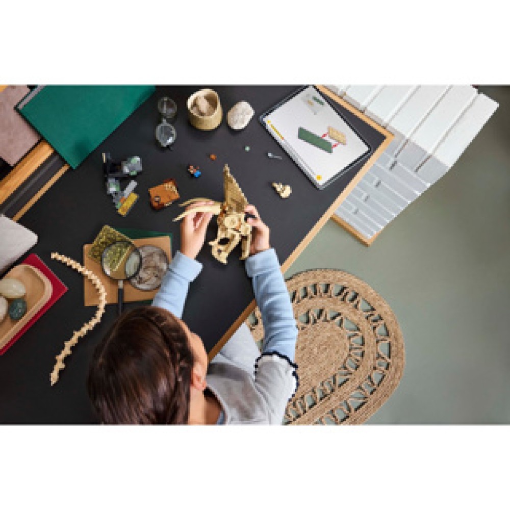 LEGO 76969 Jurassic World Dinosaurusfossielen: Triceratops schedel - Afbeelding 4