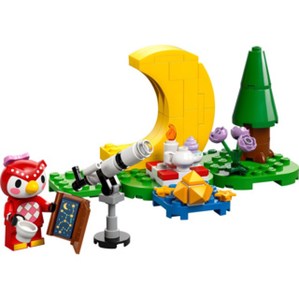 LEGO 77053 Animal Crossing Sterrenkijken met Celeste - Afbeelding 2