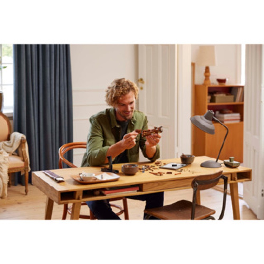 LEGO 10363 Icons De vliegmachine van Leonardo da Vinci - Afbeelding 4