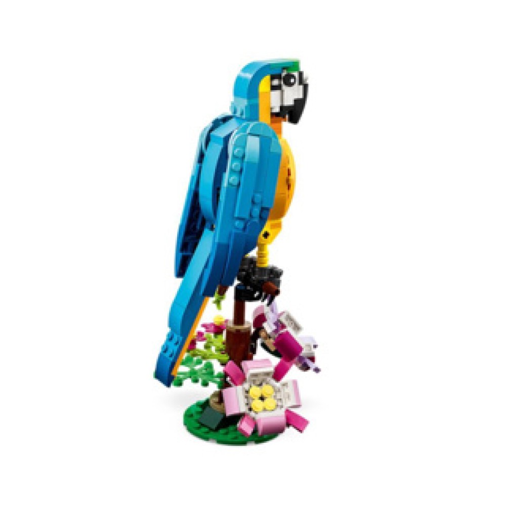 LEGO 31136 Creator Exotische Papegaai - Afbeelding 2