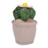Pluchiez pluche plantjes 15 cm assorti (assortiment – willekeurige uitvoering)