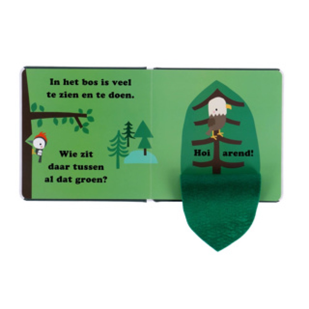 Boek Pluizige Vriendjes Zoek En Vind Bos - Afbeelding 4