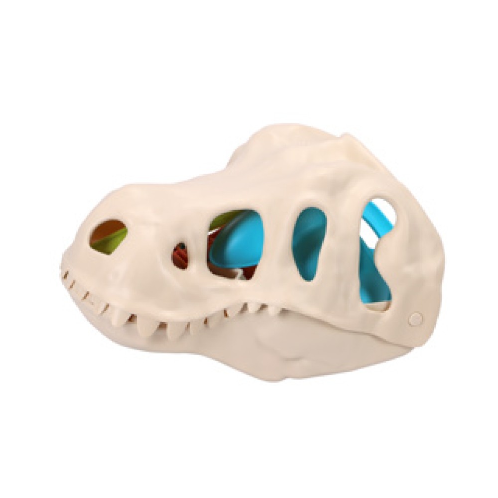 Strandset dino - Afbeelding 2