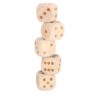 Alert Outdoor Dobbelset XL Hout Compleet   Met Scoreblok