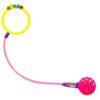 Happy Moves Swing Wheel Met Led 2 Assorti (assortiment – willekeurige uitvoering)
