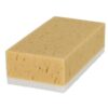 Lifetime Clean spons jumbo 2-in-1