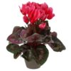 Kunstplant cyclaam roze in pot