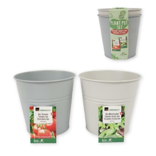 Kweekset emmer bio tomaten en sla 17cm metaal