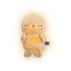 Vtech Baby Lumizen