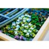 LEGO 31220 Art Claude Monet – Brug over een vijver met waterlelie