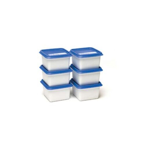 Day To Day Diepvriesbak set 6x200ml Alaska