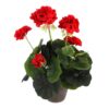 Kunstplant geranium rood in pot grijs