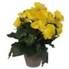 Kunstplant begonia geel in pot