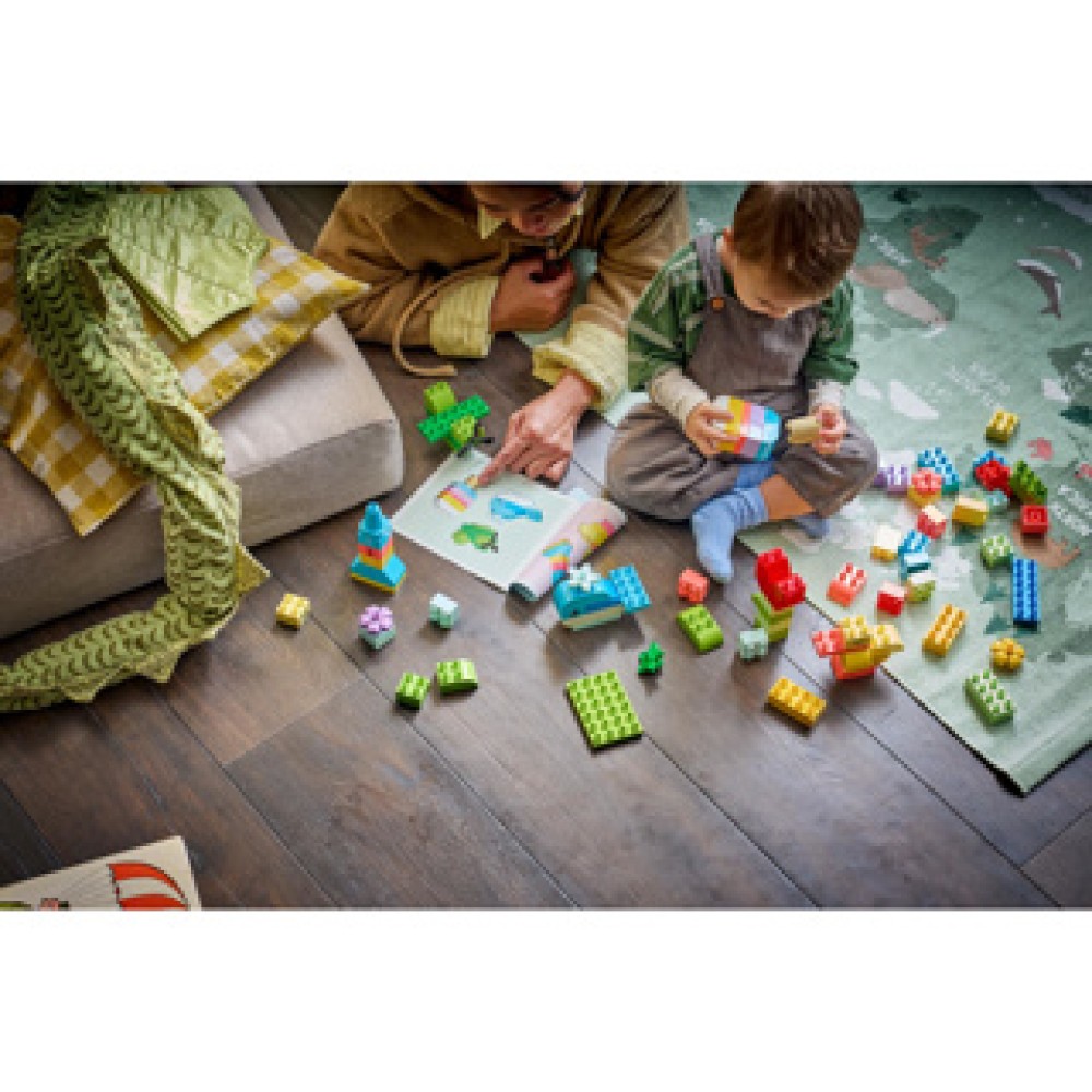 LEGO 10479 DUPLO Classic Kleurrijke Creatieve Doos - Afbeelding 3