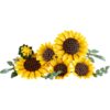 LEGO 11502 Botanicals Boeket met zonnebloemen