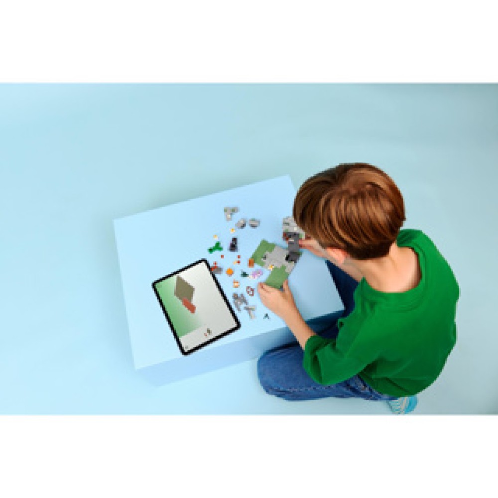 LEGO 21586 Minecraft De Bleke Tuin - Afbeelding 3