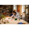 LEGO 11505 Botanicals Bospaddenstoelen