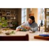 LEGO 11505 Botanicals Bospaddenstoelen