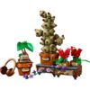 LEGO 76474 Harry Potter Zweinstein Kruidenkunde Planten