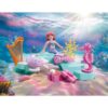 Playmobil 72107 Zeemeermin Met Geschenk