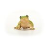 Schleich 14882 European Tree Frog