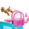 Barbie ave dream pool