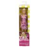 Barbie Fab Starterspop Assorti (assortiment – willekeurige uitvoering)