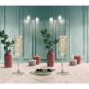 Champagneglas alina 20CL set 4