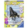 Ravensburger Schilderen Op Nummer paard in de branding