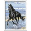 Ravensburger Schilderen Op Nummer paard in de branding