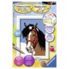 Ravensburger Schilderen Op Nummer paardenblik
