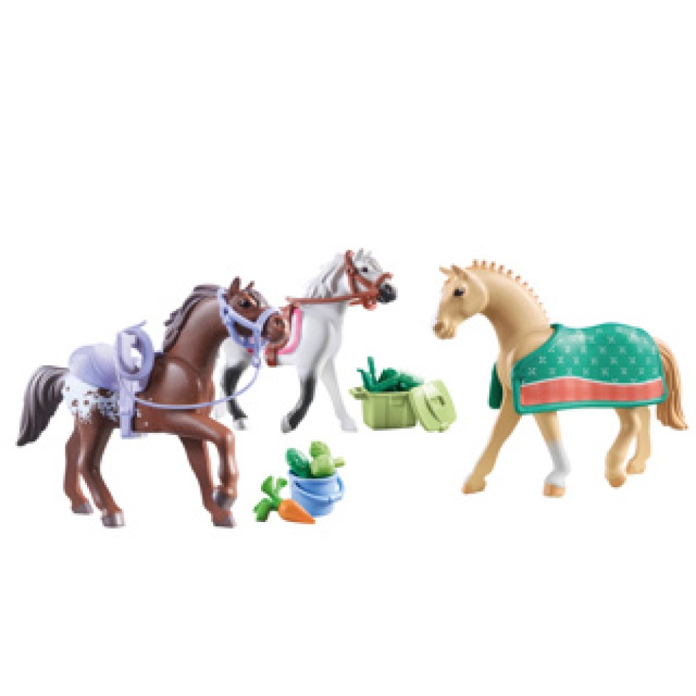 Playmobil 71356 Horses Paarden Accessoires - Afbeelding 2