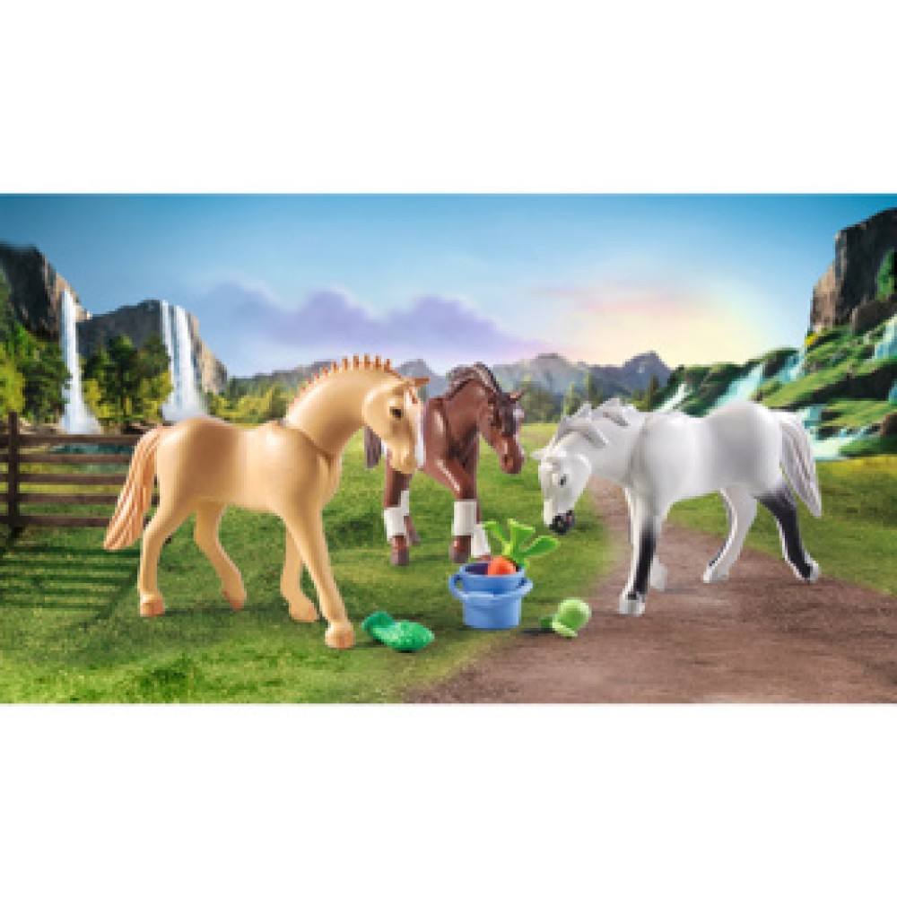 Playmobil 71356 Horses Paarden Accessoires - Afbeelding 3