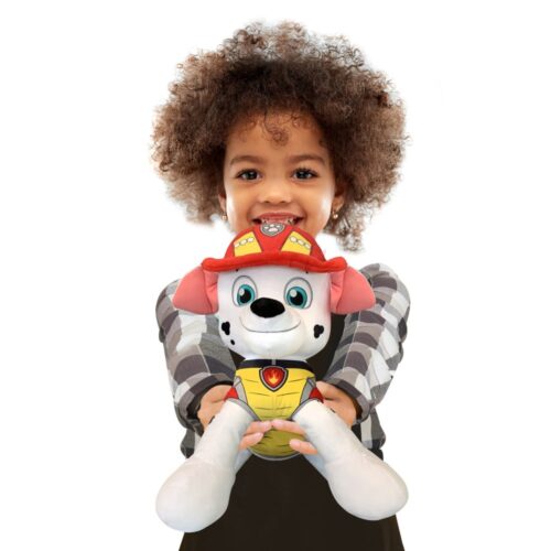Paw Patrol Pluche Seasonal 50 Cm Met Pet Assorti (assortiment – willekeurige uitvoering)