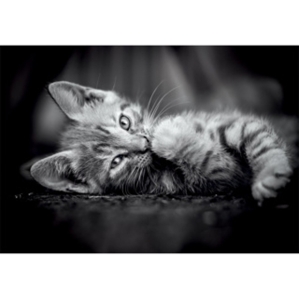 Clementoni Puzzel 1000 stuks kitten compact - Afbeelding 2