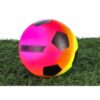 Alert Sport Voetbal Regenboog (Maat 5 / 200 Gr)
