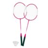 Alert Sport Badminton Set 2 Personen