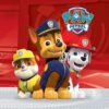 Paw Patrol Ready For Action Servetten 20st 33x33
