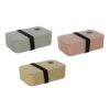 Lunchbox 19,5x11,5x6,5cm assorti (assortiment – willekeurige uitvoering)
