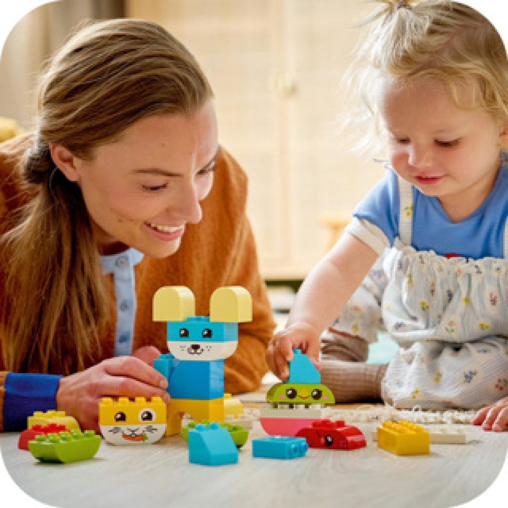 LEGO 10477 Duplo Creatieve Huisdieren 3 In 1 - Afbeelding 4