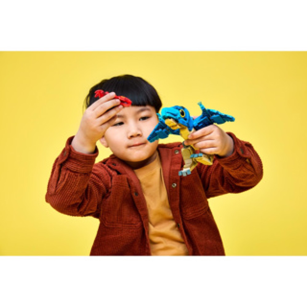 LEGO 77977 Jurassic World Babydinosaurus Pteranodon - Afbeelding 3