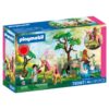 Playmobil 72067 Dagje uit met feeën