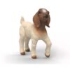 Schleich 14930 Boer Geit Jong