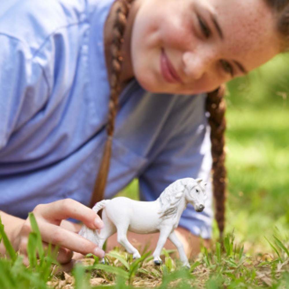 Schleich 13942 IJslander ponymerrie - Afbeelding 2