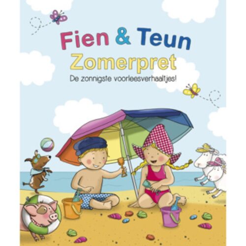 Boek Fien En Teun Zomerpret