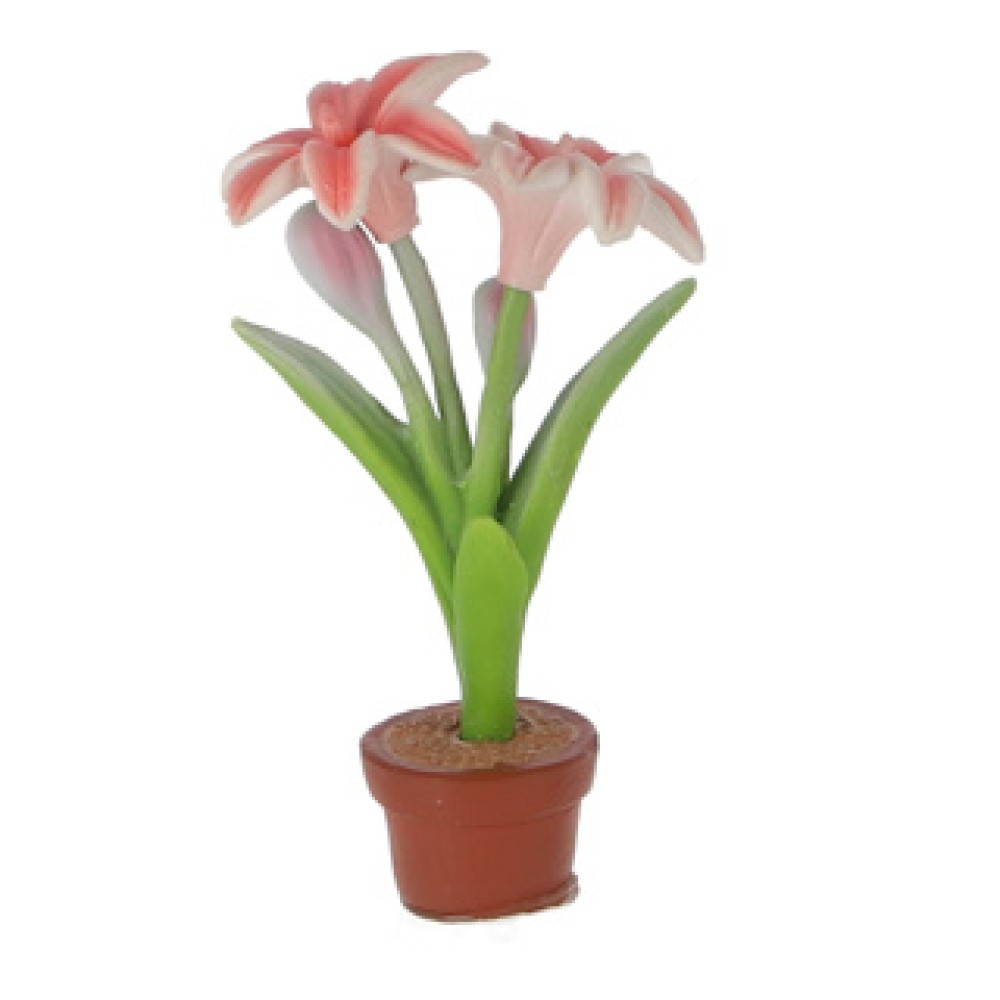 Amazing Cool Bloemen color change 36 stuks assorti - Afbeelding 4