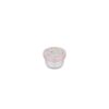 Fruitbox campus 300 ml - fairy wonders