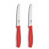 Richardson Sheffield tomatenmes 2 stuks